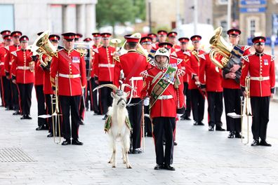 Guard of Honour by the Royal Welsh 