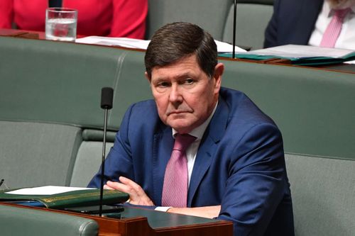 Today, the Senate agreed to set up the special committee, to be chaired by veteran Liberal MP Kevin Andrews with Senator Hanson as his deputy.