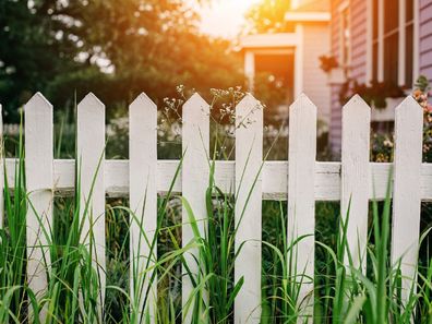 neighbours petty fence dispute