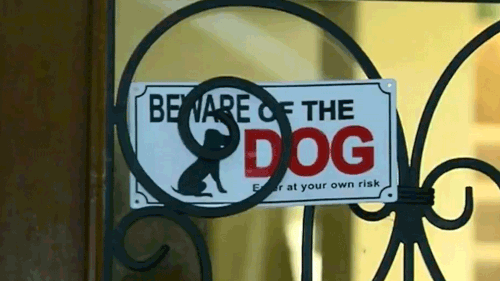 The dog was seized by council rangers after the attack at the Berwick, Melbourne home on March 4. (9NEWS)