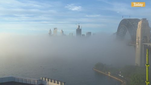 Sydney fog