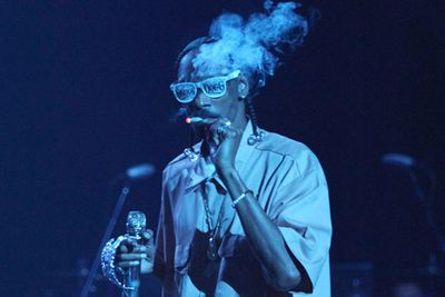 Rapper Snoop Dogg was the first star behind bars in 2012. According to reports, he was caught was caught red-handed by a marijuana-sniffing drug squad dog after his tour bus was stopped at a border patrol checkpoint in Texas. Apparently the rapper has a <i>prescription</i> for pot in California, but there's a 'zero tolerance' policy in Texas.