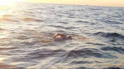 Australian Cyril Baldock, 70, has become the oldest person to swim the English Channel. (Twitter)