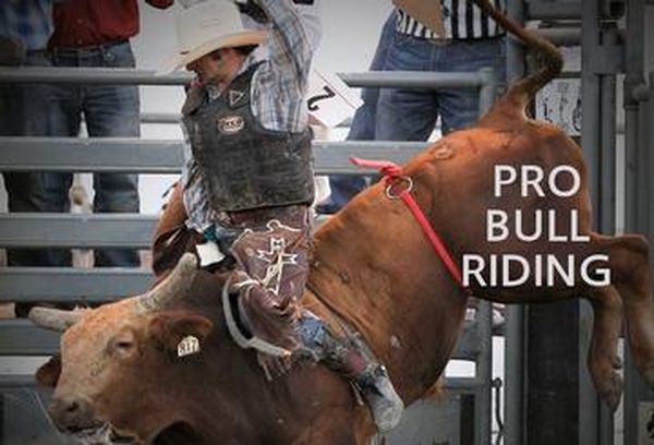 Pro Bull Riding USA - Unleash The Beast