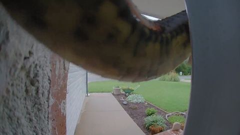 Woman S Security System Alerts Her To Extremely Unwanted