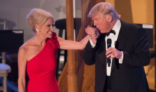 Trump aide Kellyanne Conway punched man at inaugural ball 