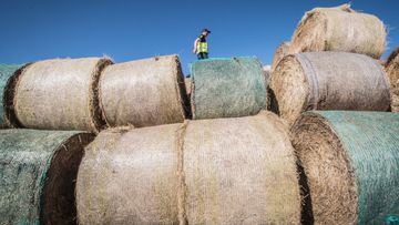 A 2018 photo of hay bales being delivered to drought-stricken Golburn, NSW.