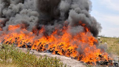 Townsfolk, press feel 'unusual' after Indonesian police burn half a tonne of cannabis