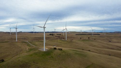 Generic Windfarm, agriculture, wind, renewable energy, on the sheep, cattle and wind farm of Deputy Chair of Farmers for Climate Action and Farmer Charlie Prell in Crookwell, NSW on June 23, 2021. Photo: Dominic Lorrimer