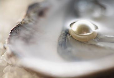 Oysters produce pearls by covering an invasive object with what substance?