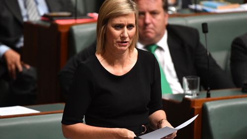 Labor MP Susan Lamb also has a citizenship cloud hanging over her. (AAP)