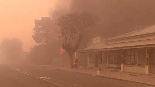 Parts of South Australia have been ravaged by bushfires in recent weeks. (9NEWS)