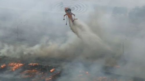 Firefighters have responded to a grass fire at Epping. (9NEWS / Julian Price)