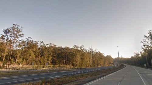 Man killed, two injured after tree falls on car at NSW Mid North Coast rest area