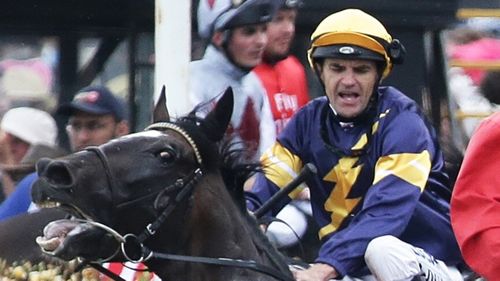 Araldo gets spooked at the Melbourne Cup, shortly before breaking its leg. (AAP)