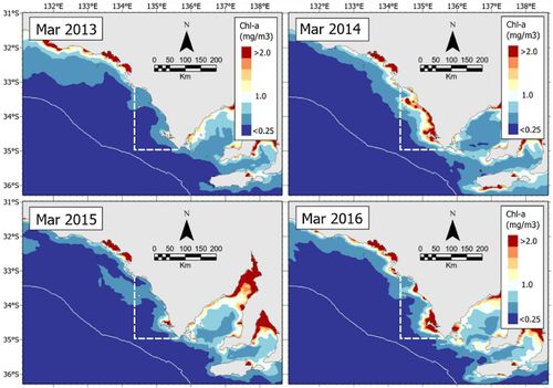 Integrated Marine Observing System (IMOS) data uncovered a "missing link" of subsurface phytoplankton in the Great Australian Bight.