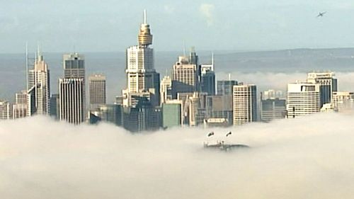Ferries halted as heavy fog descends on Sydney Harbour