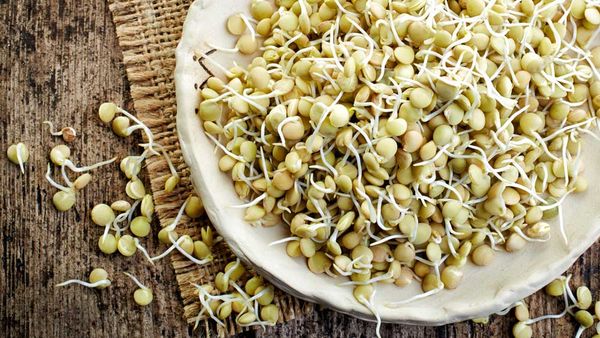 What are sprouted grains? Are sprouted grains healthier than regular grains?