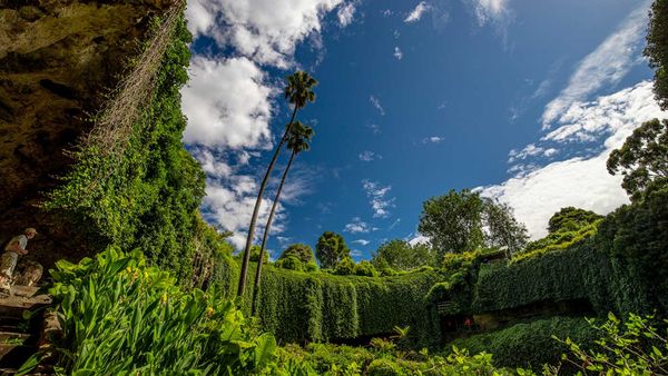 Umpherston Sinkhole in Mount Gambier.