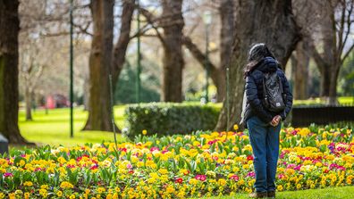 A person looks at flowers in Melbourne's Fitzroy Gardens.