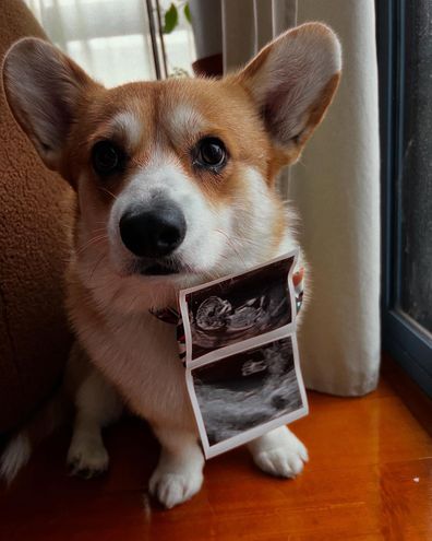 Lydia Williams announces her pregnancy 