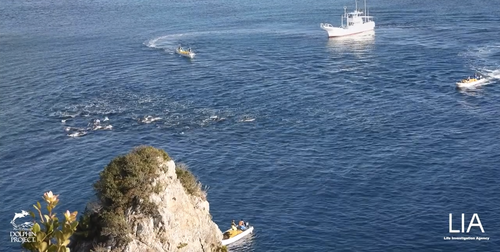 A portion of the pod was filmed being driven from open water into the narrow cove.