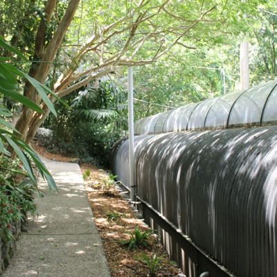 See inside Brisbane's million-dollar 'tube house' that's going to auction