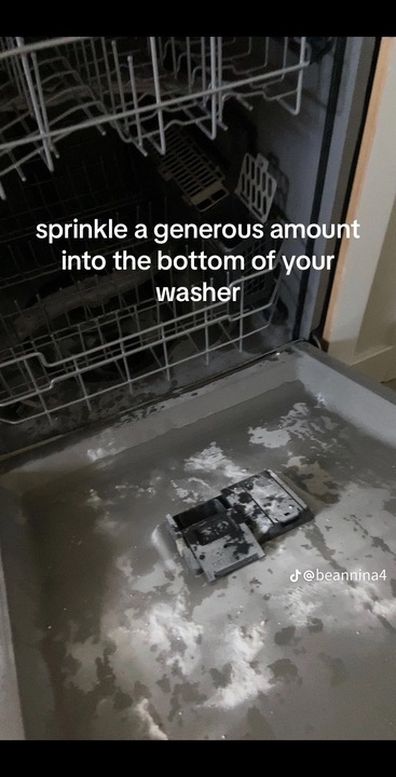 Dishwasher hack on TikTok