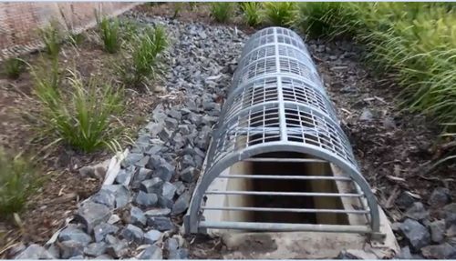 Schoolgirls rescued from Gold Coast stormwater drain after crawling through pipe