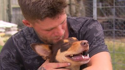 Dog saves owner from house fire in Queensland