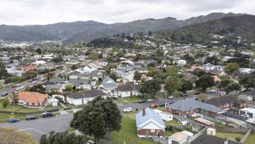 Lower Hutt residents are enduring a terrible stench. (File photo)