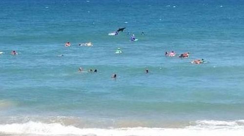 'Shark' leaps from water during mums' surf competition
