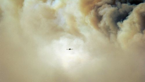 Firefighters are using water-bombing aircraft to try and battle the various blazes. (Supplied, Lily Brecht)