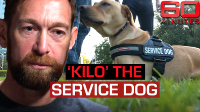 Meet Kilo the service dog helping former soldier heal