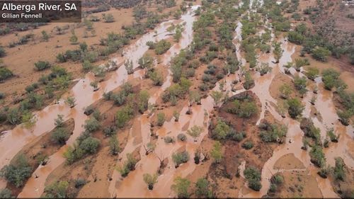 For the first time in 18 months  water has flowed through the Alberga River in South Australia.