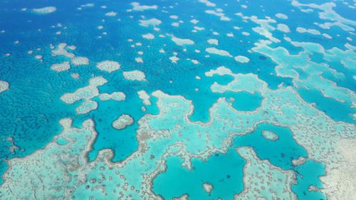 PM Malcolm Turnbull announces $1 billion Great Barrier Reef protection fund