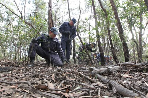 Police search through Belanglo State Forest after the remains of a woman were found on August 29, 2010. (AAP)
