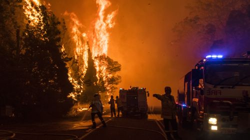 Firefighters tackle a wall of fire during the Black Summer catastrophe