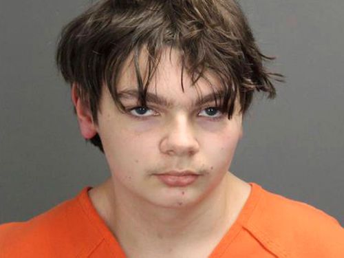 Ethan Crumbley pleaded guilty to one count of terrorism causing death, four counts of first-degree murder and 19 other charges stemming from the November 30 mass shooting