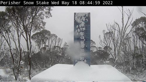 Perisher Ski Resort recorded 11cm of snow yesterday. 