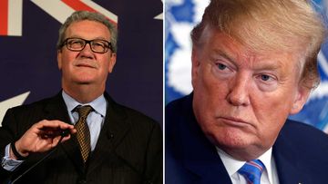 A conversation between a Trump aide and Alexander Downer triggered the investigation into collusion between Russia and the now-president's campaign.