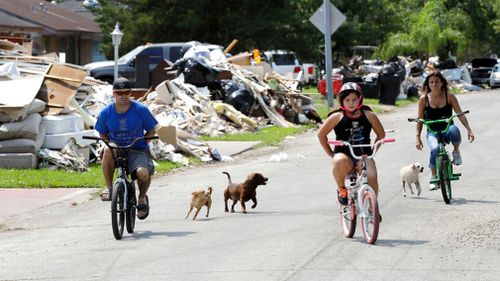 Dogs chase people riding their bicycles down a street lined with debris from flooded homes. (AP)