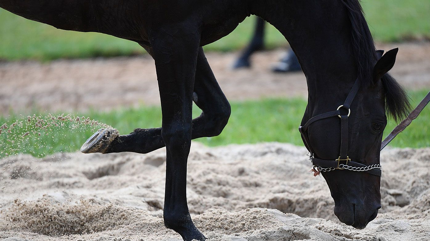 Melbourne Cup: The CliffsofMoher breaks down during run, unable to be saved