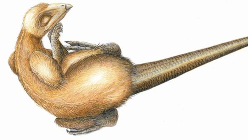 New dinosaur species found buried by volcanic eruption in China