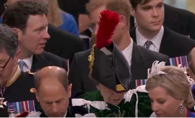 Princess Anne's feather obstructs Prince Harry's view at coronation