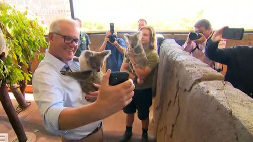 scott morrison koala selfie 