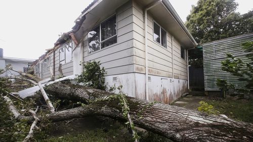 A tree lays on the ground after falling and hitting a house in Auckland, New Zealand, Tuesday, Feb. 14, 2023. The New Zealand government declared a state of emergency across the country's North Island, which has been battered by Cyclone Gabrielle. (Jason Oxenham/New Zealand Herald via AP)