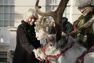 Queen Camilla feeds a reindeer after she invited children, supported by Helen & Douglas House and Roald Dahl's Marvellous Children's Charity, to decorate a Christmas tree and receive a few festive surprises at Clarence House in London, Wednesday, Dec. 6, 2023.
