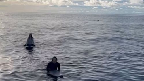 The moment Aussies found in water off Indonesian coast.