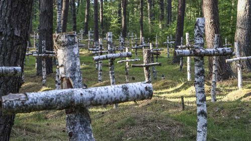 Birch crosses stand as memorials to soldiers who died while incarcerated at a German prisoner of war camp on the site.
